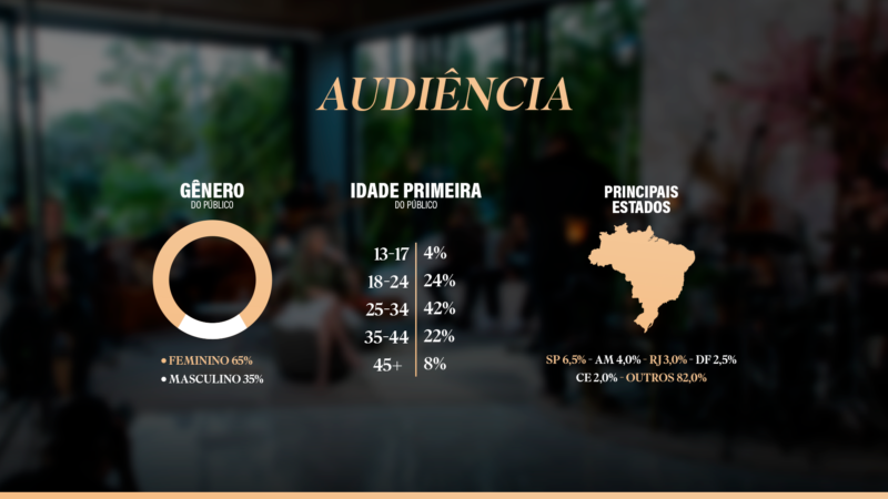 One Sheet para Artistas